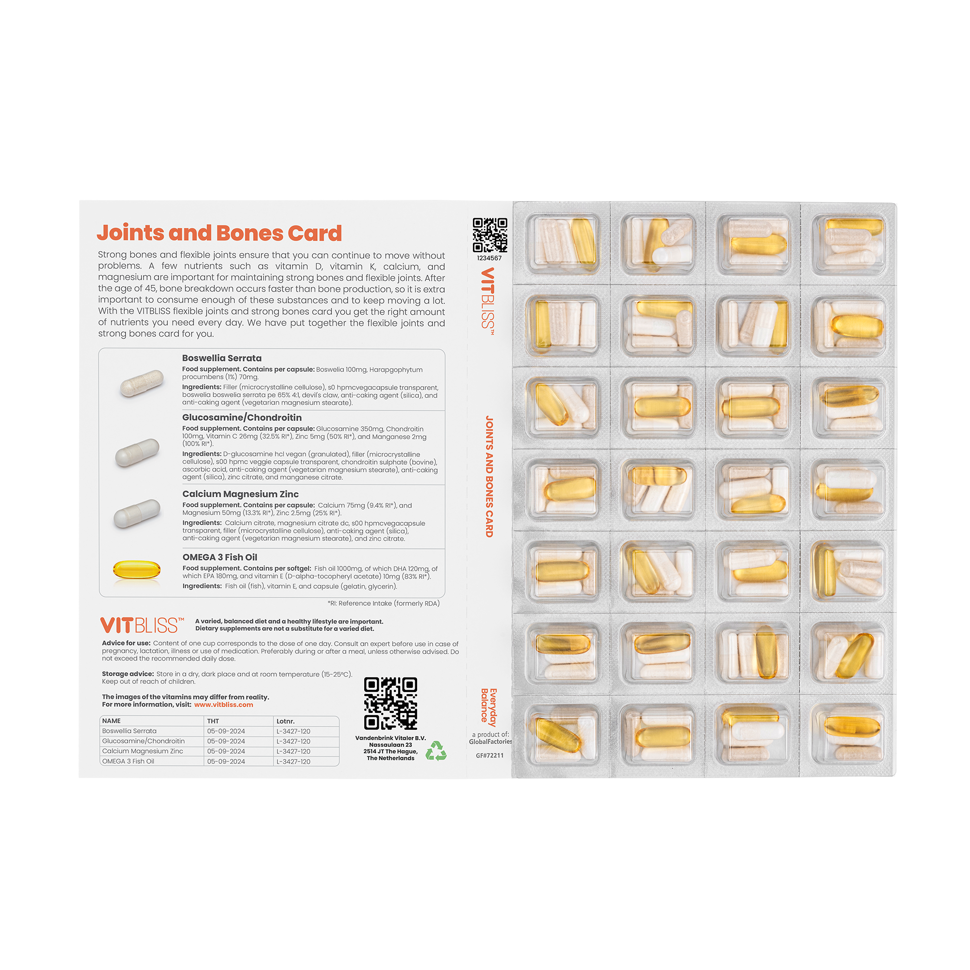 Joints and Bones Card - VITBLISS